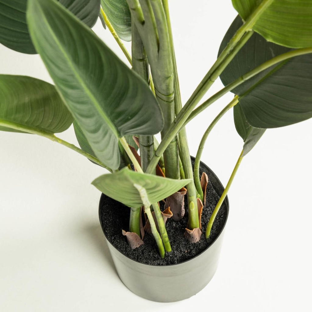 Strelitzia nicolai planta artificial de 160 cm con maceta negro