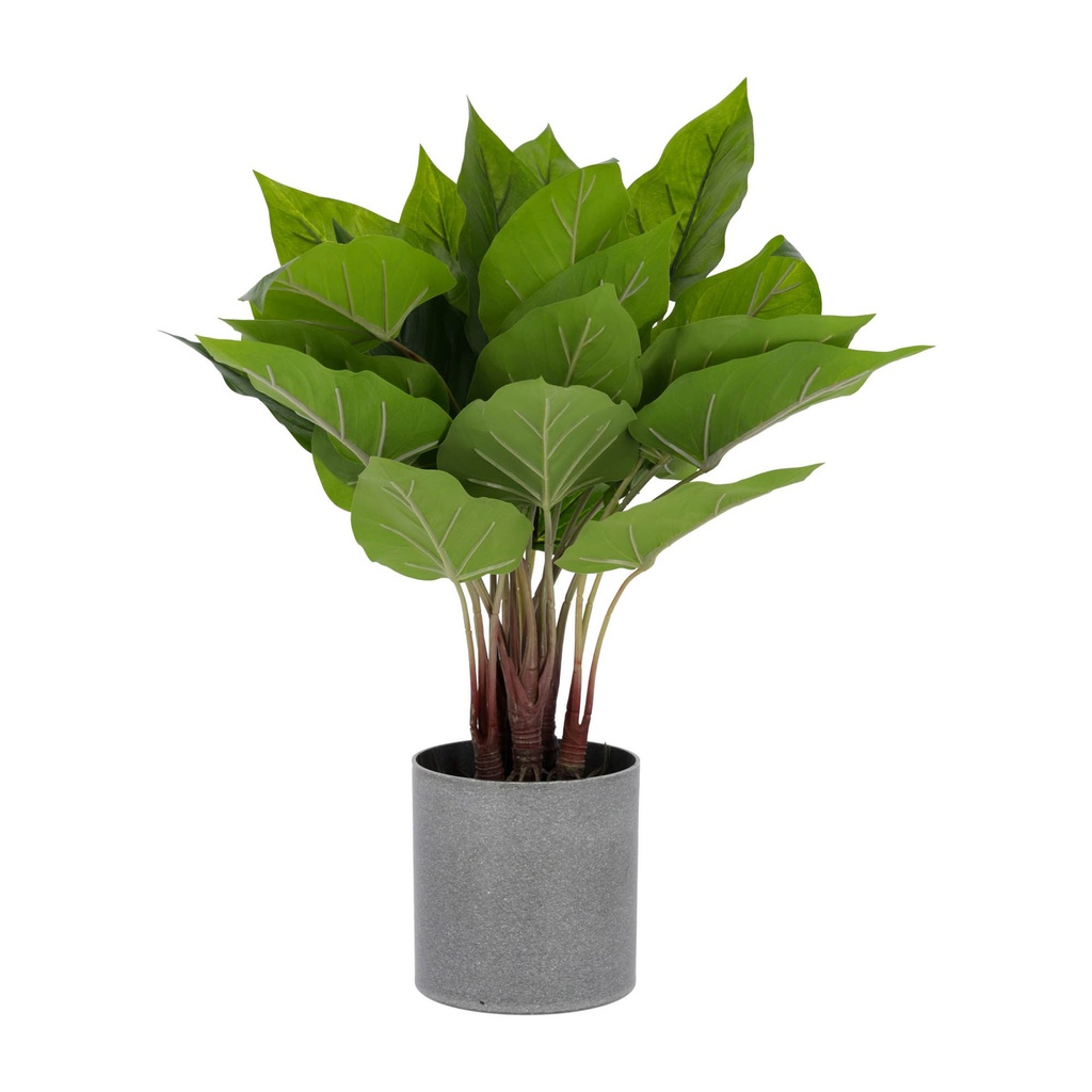 Anthurium planta artificial 50 cm. // KH
