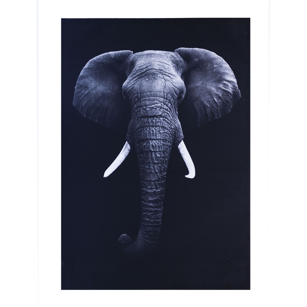 Elefant cuadro // MP