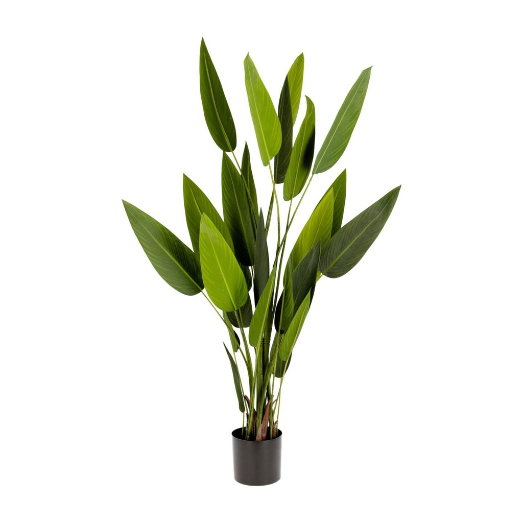 Strelitzia nicolai planta artificial de 160 cm // KH